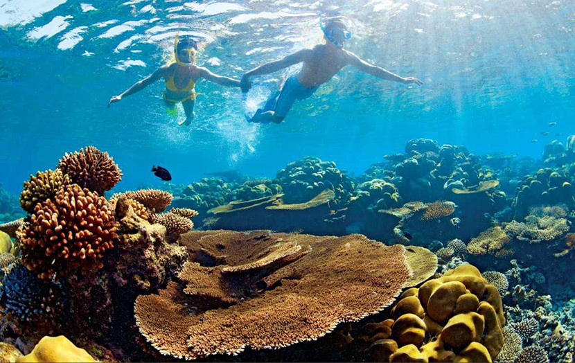 Кораллы на Мальдивах
