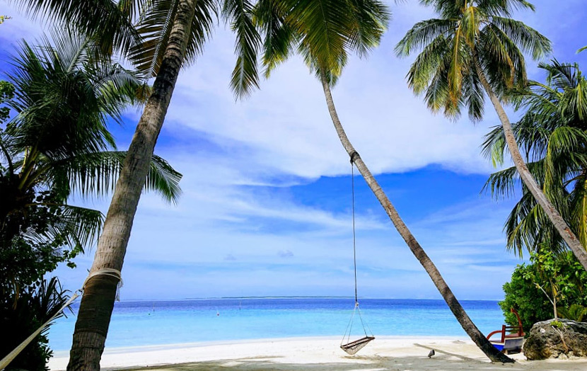 Качели на пальме Мальдивы