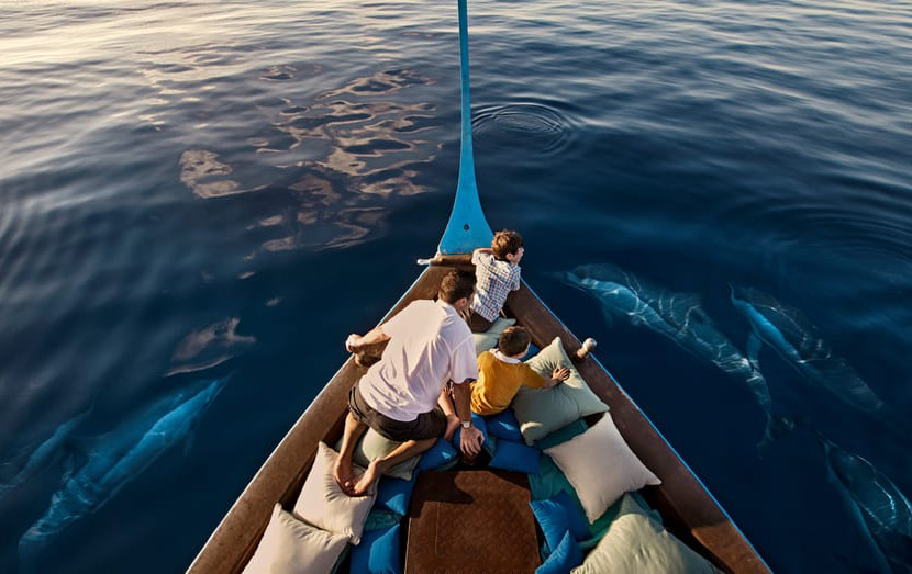 Семейный круиз с дельфинами на Мальдивах