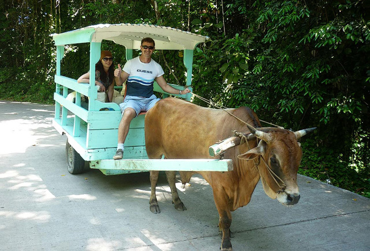Свадьба на Сейшелах. Lemuria Resort & Banyan Tree. Ноябрь 2010. Остров Ла Диг.
