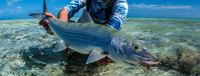 Рыбалка на Маврикии - Ст. Брандон