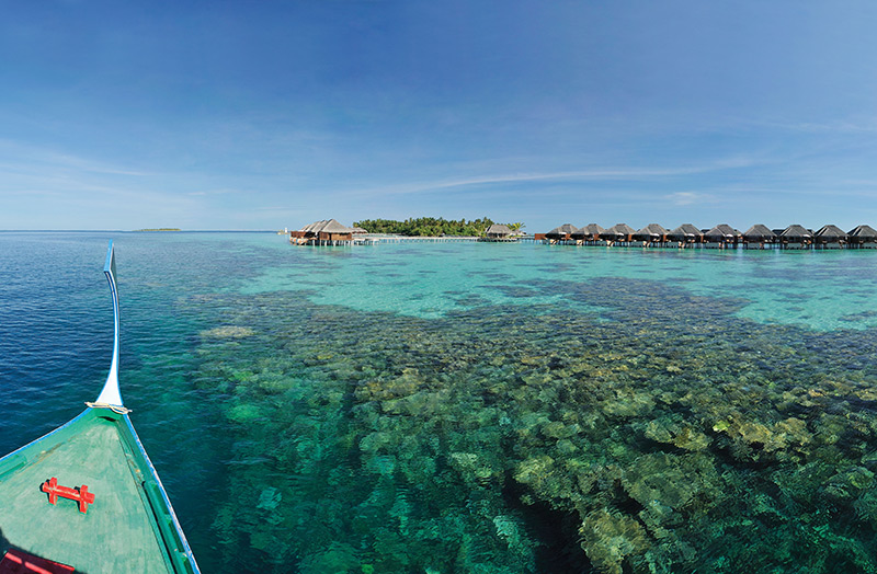 Риф в отеле Ayada Maldives