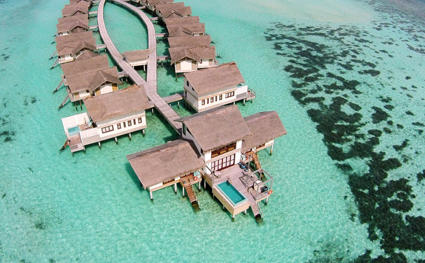 Отель Loama Resort Maldives at Maamigili. Фото Royal Ocean Pool Suite.