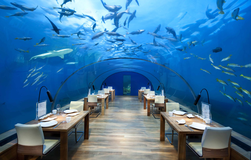 Отель Conrad Maldives Rangali Island подводный ресторан Ithaa Undersea Restaurant