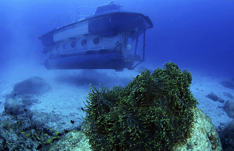  Blue Safari - путешествие на подводной лодке