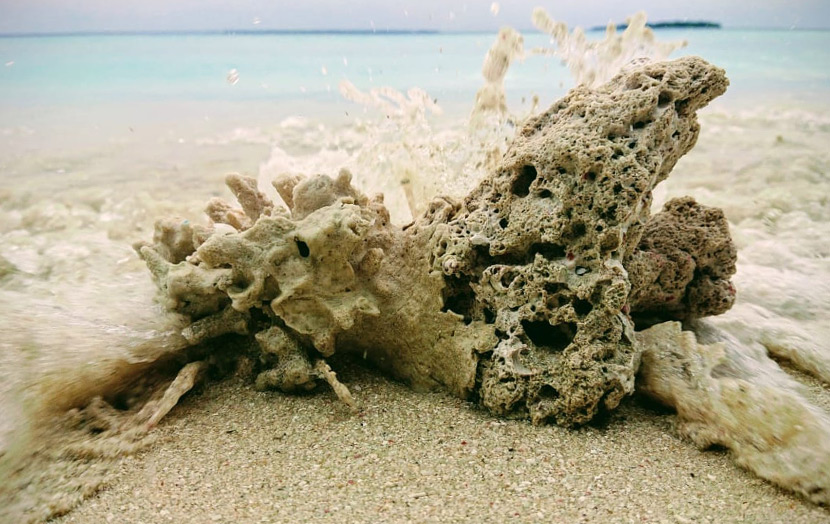 Коралл на песке Мальдивы